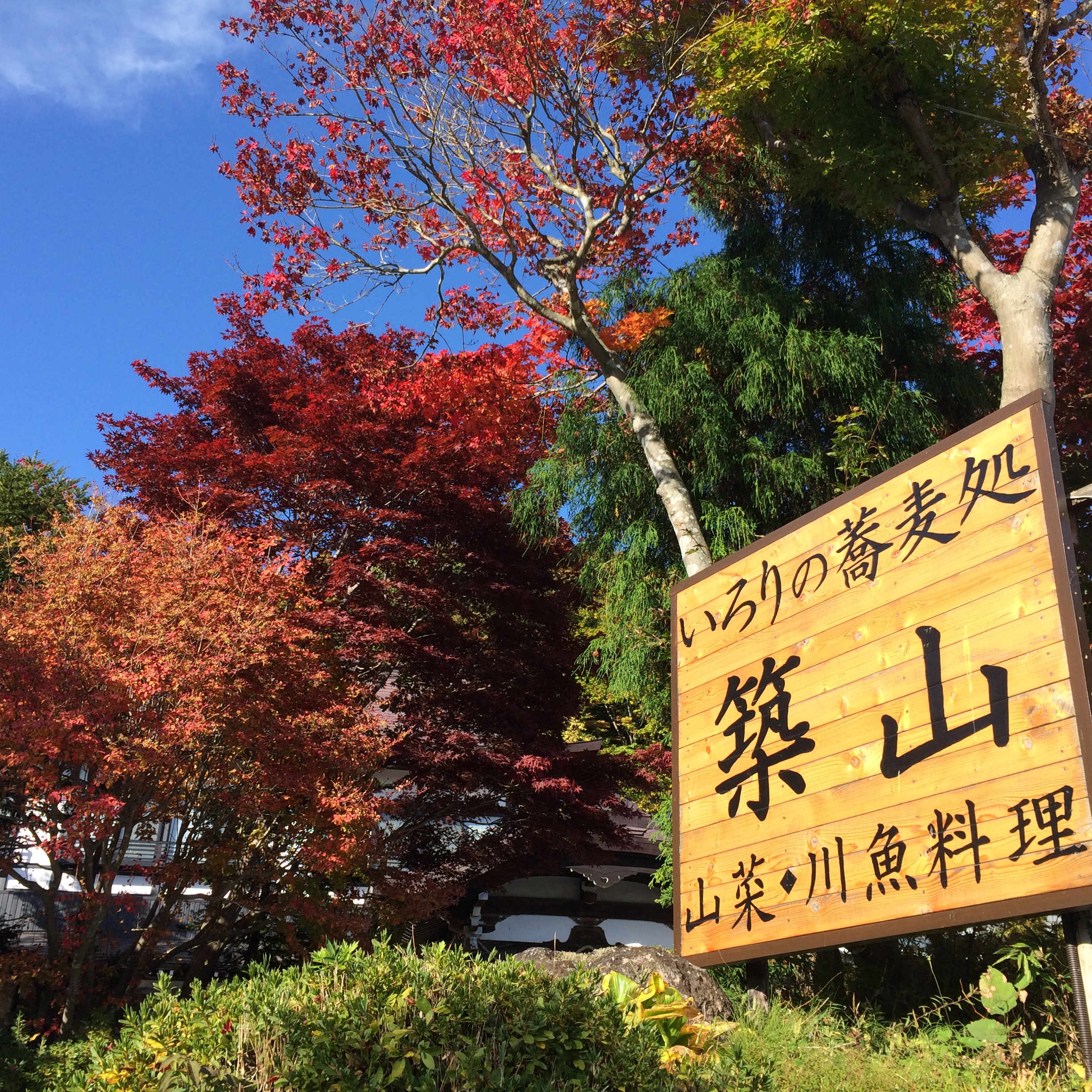 戸隠高原の紅葉が始まりました 公式 戸隠神社宿坊 いろりのそば処 築山館